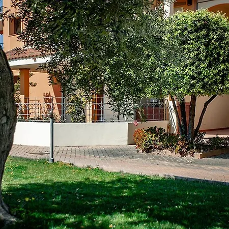 Lolly * Αλγκέρο