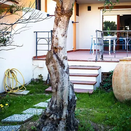 Lolly Apartment *
